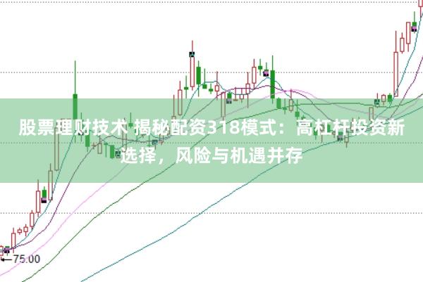 股票理财技术 揭秘配资318模式：高杠杆投资新选择，风险与机遇并存